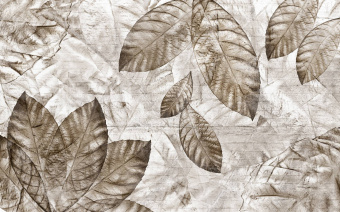  Обои Skinwall Contemporary Collection