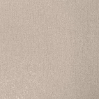 Обои Alessandro Allori Bodega