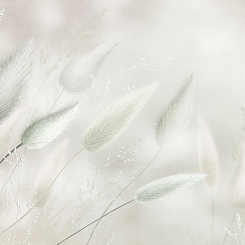 Фрески/Панно ORTOGRAF Vento