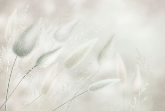 Фрески/Панно ORTOGRAF Vento