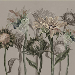 Фотообои Wall Street SUMMERTIME