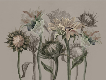 Фотообои Wall Street SUMMERTIME