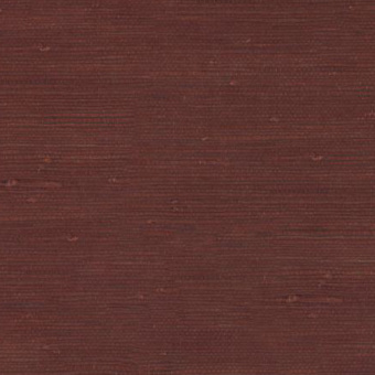 Обои Yate Into the Wild