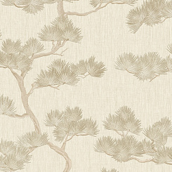 Обои Alessandro Allori Giorgio