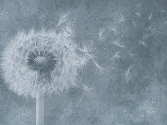 Фотообои My Fresco Природа