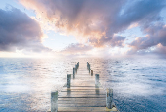 Фрески/Панно ORTOGRAF