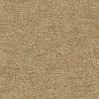 Обои Alessandro Allori Giorgio