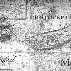  Обои Skinwall Contemporary Collection