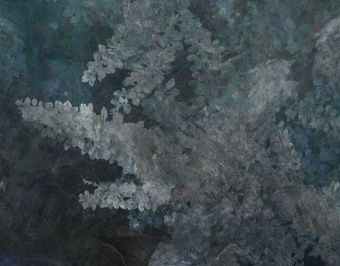  Обои Skinwall Contemporary Collection