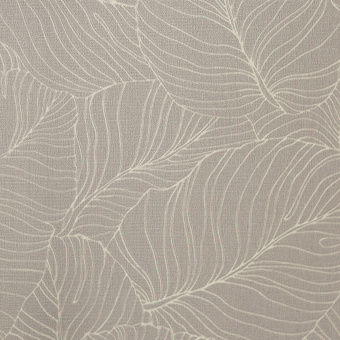 Обои Andrea Rossi Palmaria