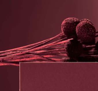 Обои Milassa Ambient vol. 4