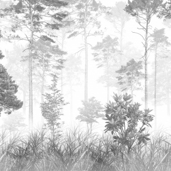 Фотообои Мне обои