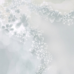 Фотообои Wall Street ASTRAL 22