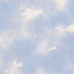 Фотообои Co.De ROOMS di PATRICIA URQUIOLA