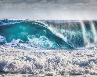 Фрески/Панно ORTOGRAF