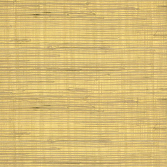 Обои Yate Into the Wild