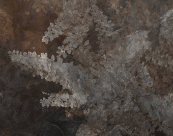  Обои Skinwall Contemporary Collection