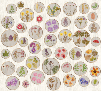 Фрески/Панно ORTOGRAF