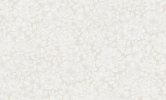 Обои Rasch Bright Whisper