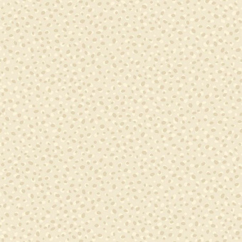 Обои Studio 465 Valencia