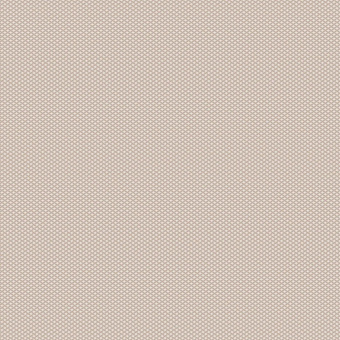 Обои Brewster Evolution 6