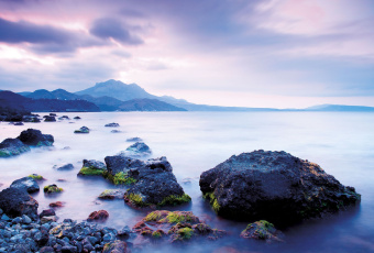 Фрески/Панно ORTOGRAF