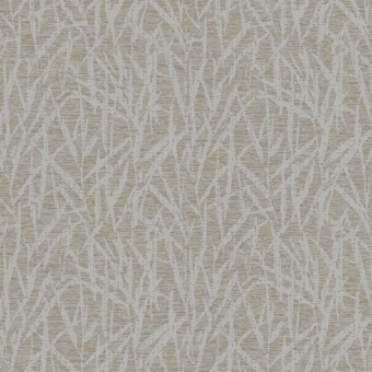 Обои Brewster Evolution 9