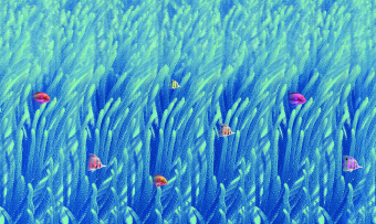 Фотообои Co.De CODE 01