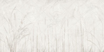 Фотообои My Fresco Природа