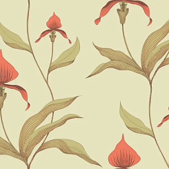 Обои Cole & Son New Contemporary