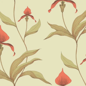 Обои Cole & Son New Contemporary