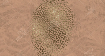 Фотообои My Fresco Культура народов мира