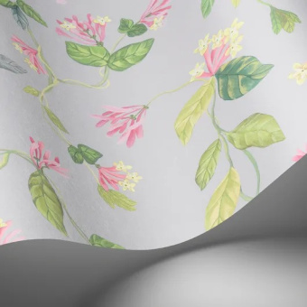 Обои Cole & Son Selection of Hummingbirds