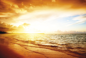 Фрески/Панно ORTOGRAF