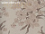 Обои Print 4 Tendence