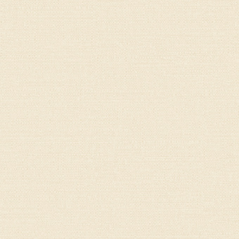 Обои Alessandro Allori Bruni