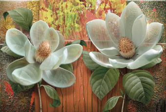 Фрески/Панно ORTOGRAF