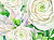 Фотообои Wall Street Giardino