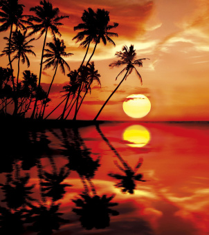 Фрески/Панно ORTOGRAF