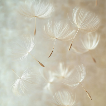 Фрески/Панно RFresco AI