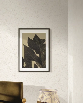 Обои Alessandro Allori Argiano