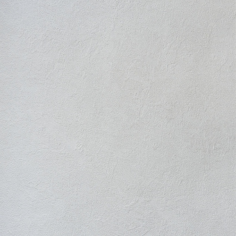 Обои Alessandro Allori Bodega