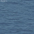 Обои PAPER&INK Navy Grey and White