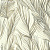 Обои York Candice Olson BOTANICAL DREAMS