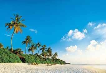 Фрески/Панно ORTOGRAF