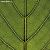 Обои Mr Perswall Urban Nature