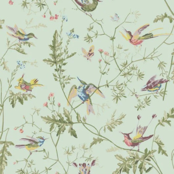 Обои Cole & Son Selection of Hummingbirds