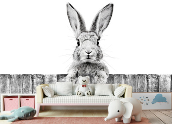 Фотообои Artmegahome Детские коллекции