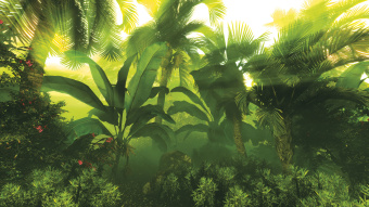 Фрески/Панно ORTOGRAF Тропическое