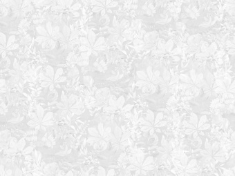 Фотообои Wall Street Fairy Foxes